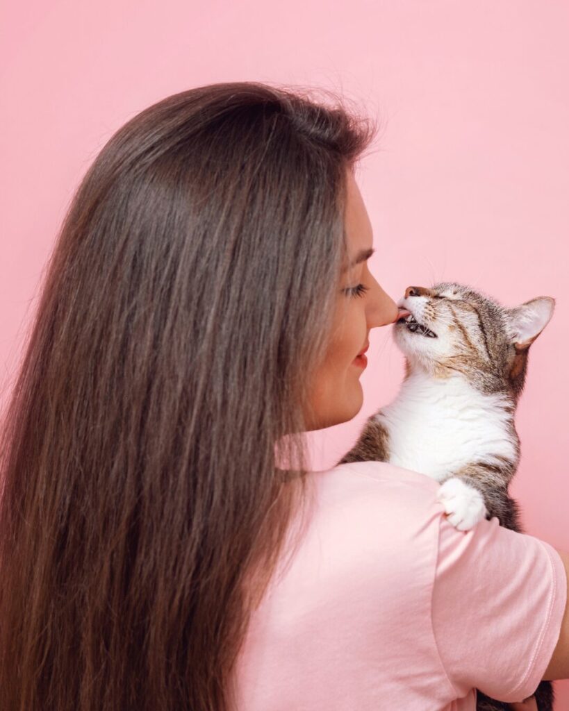 O que significa quando o gato lambe o dono?